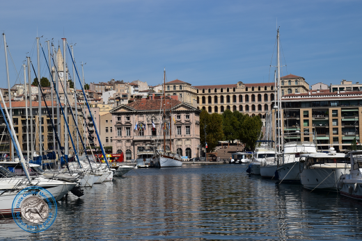 Autour de l’Hôtel de Ville ®